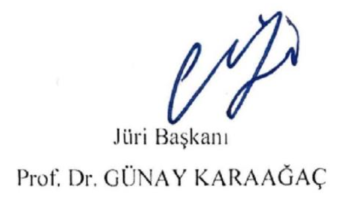 Yetîm Dîvânı'nın bağlamlı dizin ve işlevsel sözlüğü — Şekil 1